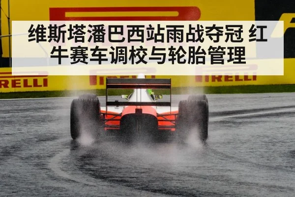 维斯塔潘巴西站雨战夺冠 红牛赛车调校与轮胎管理