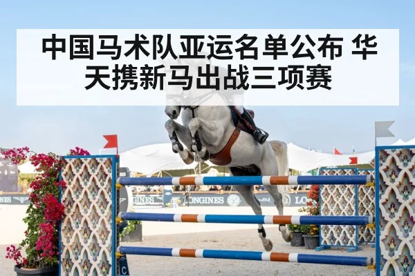 horse jumping competition