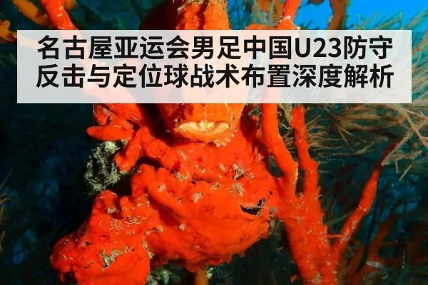 名古屋亚运会男足中国U23防守反击与定位球战术布置深度解析