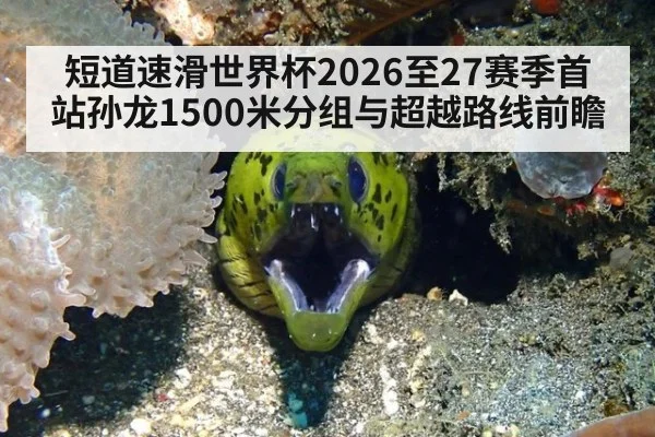 短道速滑世界杯2026至27赛季首站孙龙1500米分组与超越路线前瞻